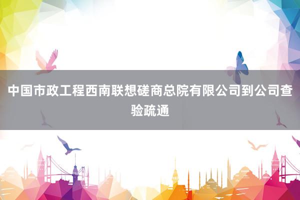 中国市政工程西南联想磋商总院有限公司到公司查验疏通
